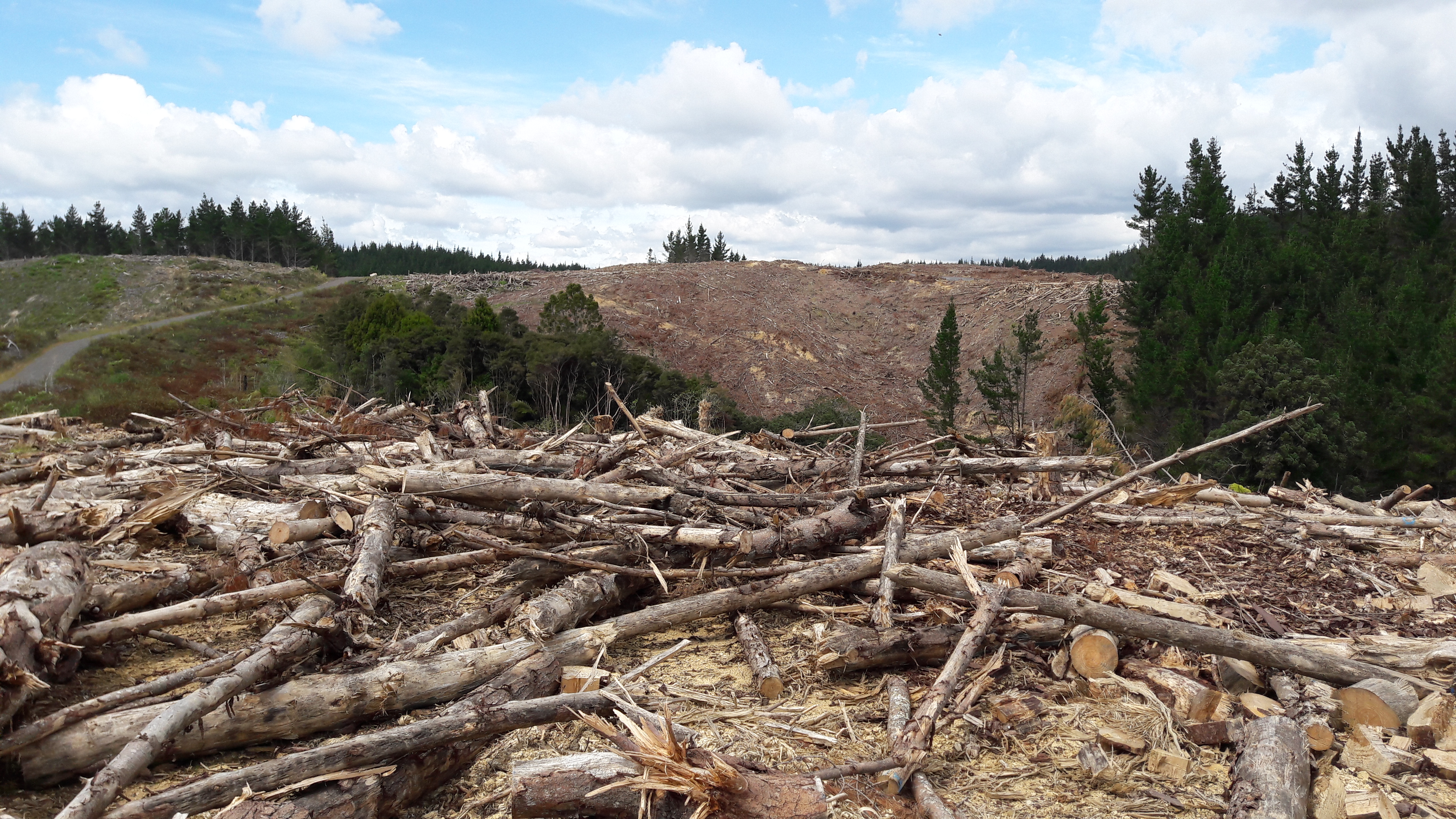 Einzugsgebiet – Beispielbild 1