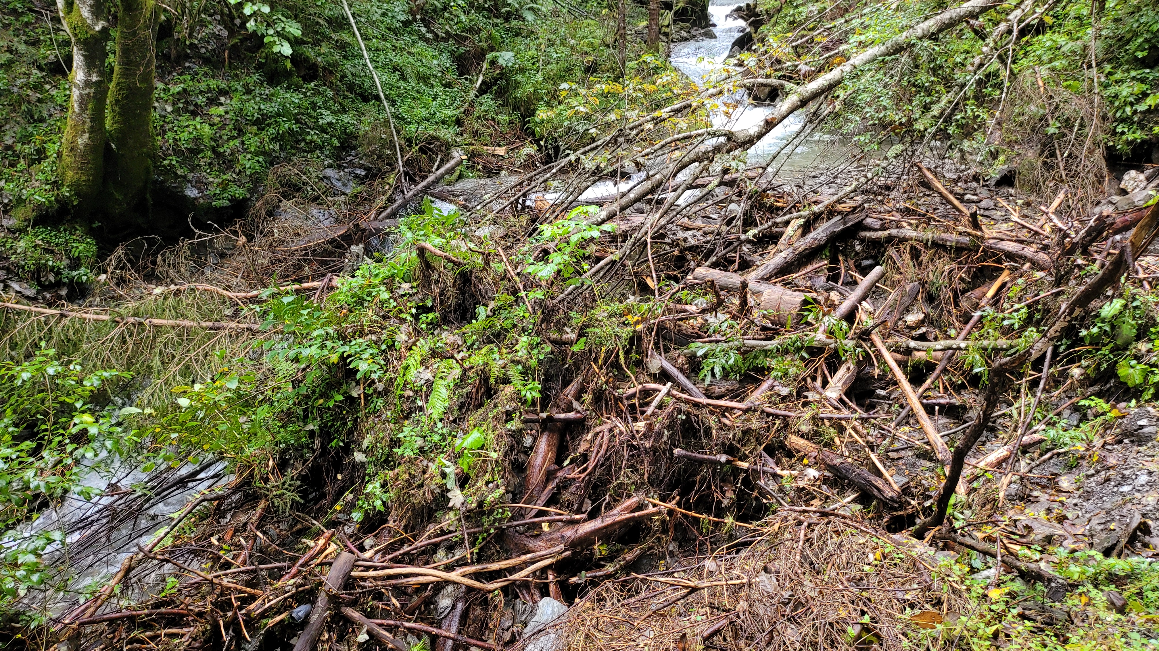 Einzugsgebiet – Beispielbild 3