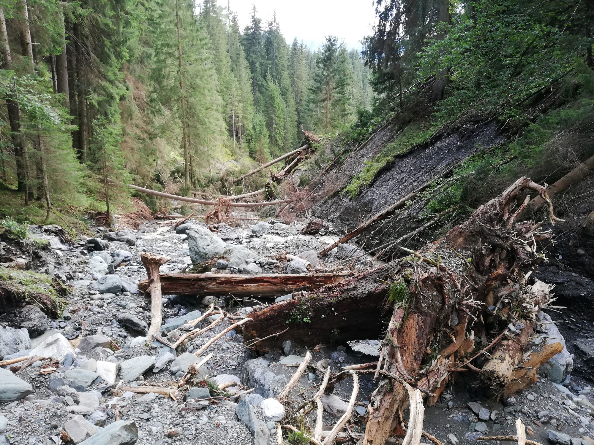 Einzugsgebiet – Beispielbild 7