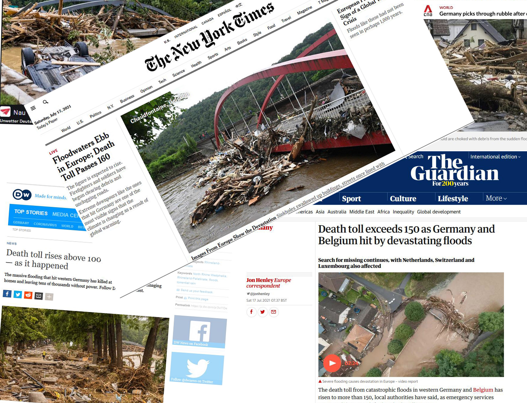 Schwemmholz – Beispielbild 0