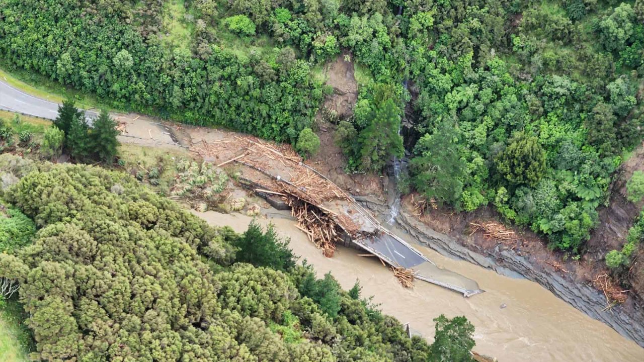 Schwemmholz – Beispielbild 10