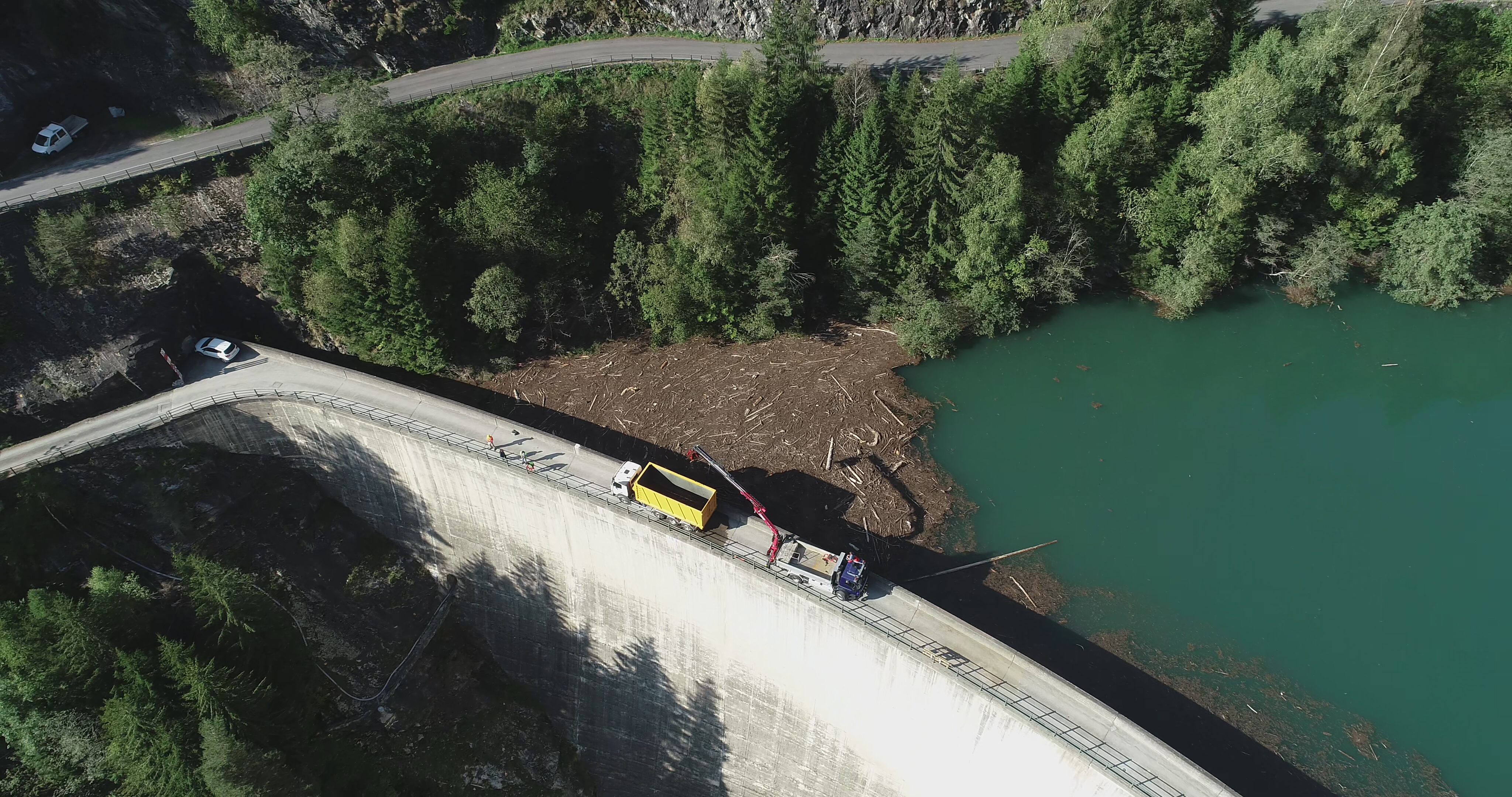 Schwemmholz – Beispielbild 2