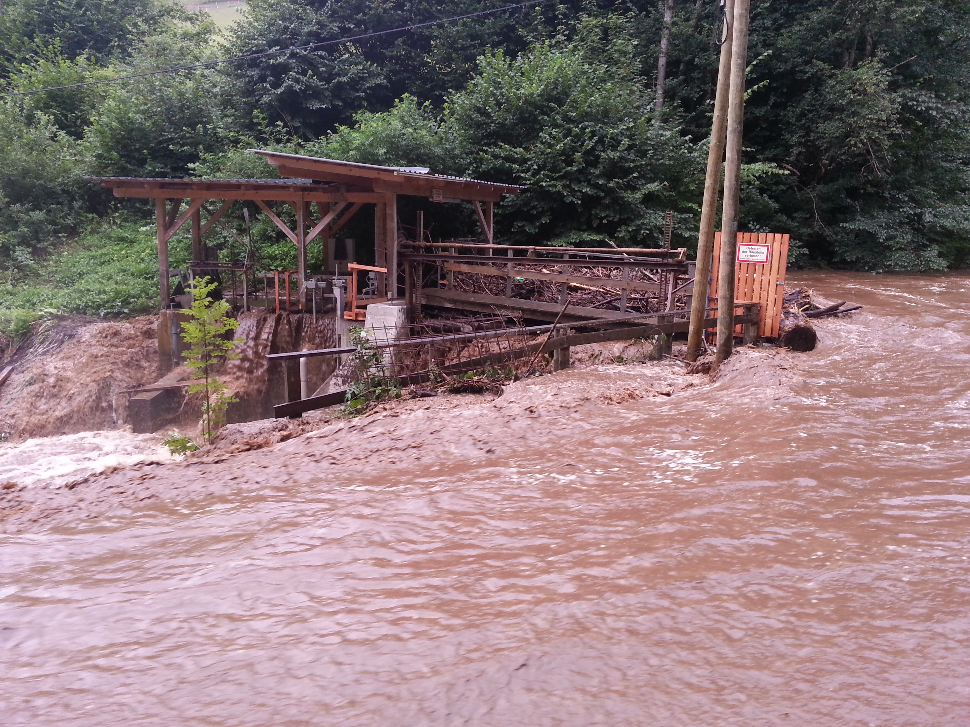 Schwemmholz – Beispielbild 3