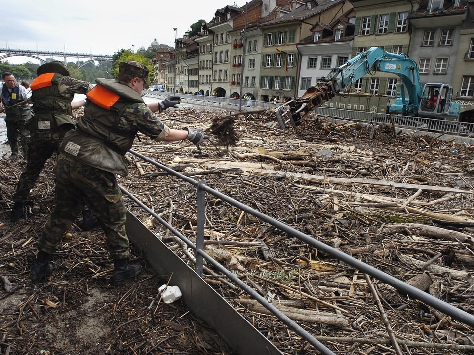 Schwemmholz – Beispielbild 5