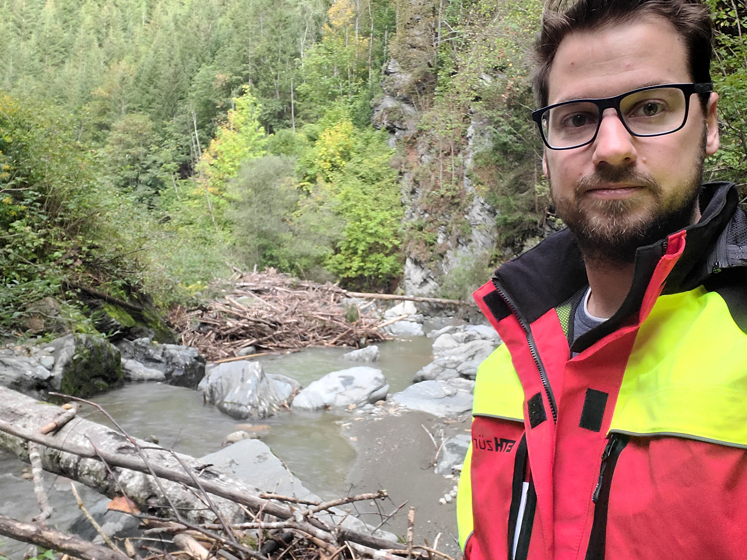 Schwemmholz – Beispielbild 8