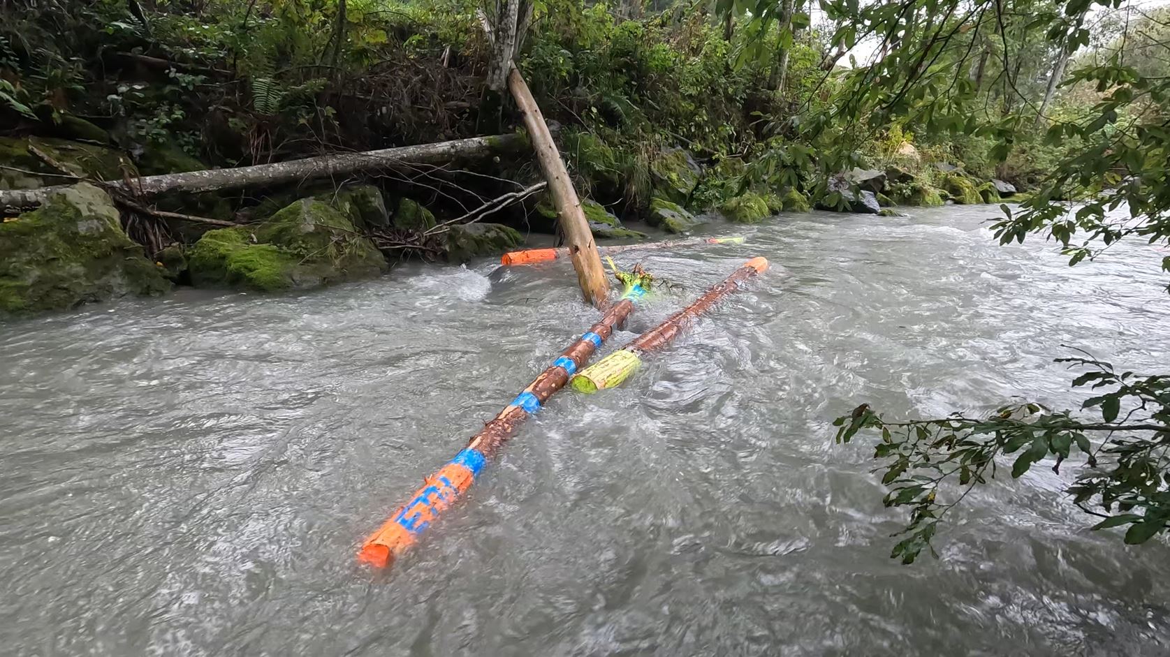 Frühwarnsystem – Beispiel 3