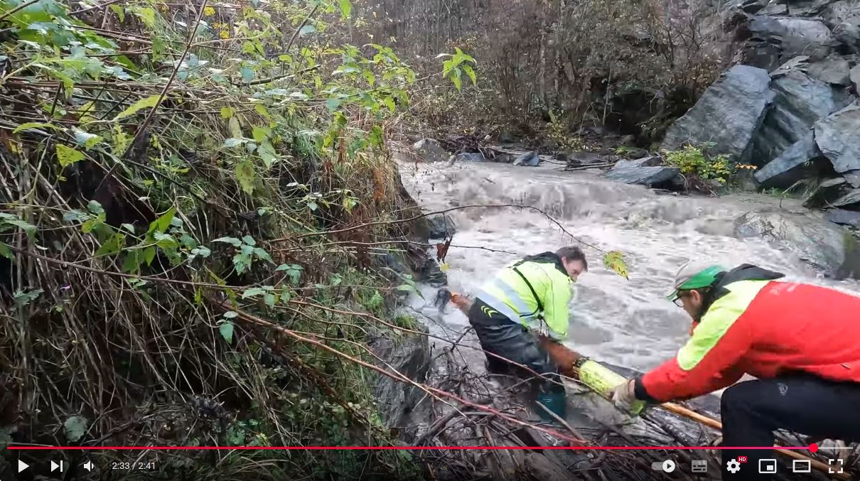 SmartWood_3D – ETH Beitrag (Vorschau)